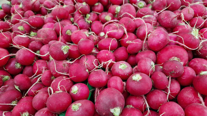 A pile of radishes for sale close-up. Farm produce. Agriculture. Vegetables. Fresh ripe radishes. Radishes stacked together for sale at a farmers market. Food market. Radish roots