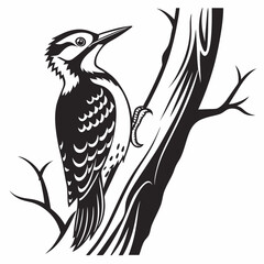 Woodpecker black silhouette icon vector