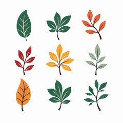 Leaves set illustration vector white background collection	