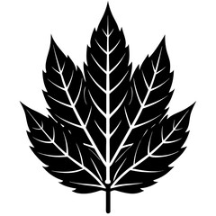 Ash Leaf Silhouette Vector