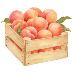 A wooden crate filled with ripe peaches, showcasing their soft, fuzzy skin and vibrant coloration.