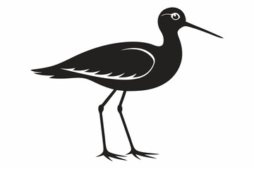 Willet black silhouette vector