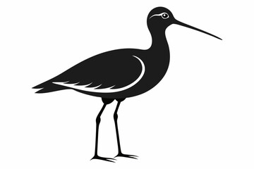 Willet black silhouette vector