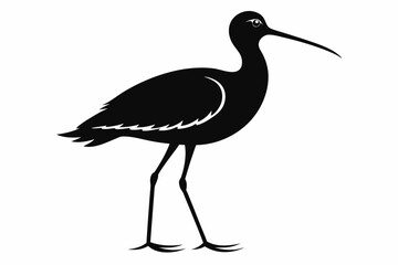 Willet black silhouette vector
