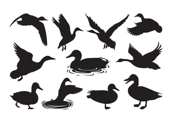 Duck vector, Duck clipart, Duck silhouette