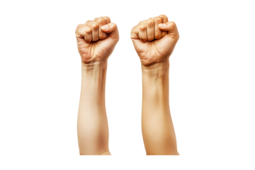 Raised fists in the air symbolizing strength isolated on white or transparent background.