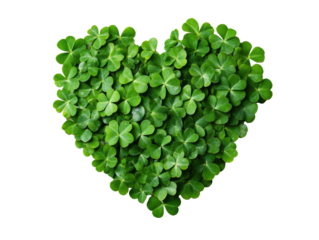 Heart of fresh clovers for St. Patrick's Day decor on a transparent background, cut out