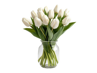 Elegant white tulips in a glass vase for home decor and gifting on a transparent background, cut out © Khmel