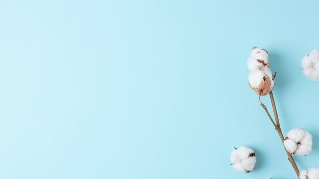 Cosmetic background with flowers on blue. Flat lay, copy space
