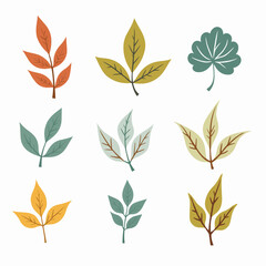 Set of autumn leaves. Fall maple tree leaf icon. Foliage oak, yellow forest plant leaves. Red autumn season thanksgiving leaf element.