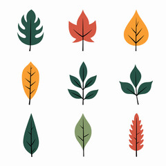 Fototapeta premium Leaves set illustration vector white background collection