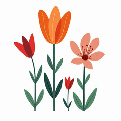 Set of flowers, set of vector flowers on a white background