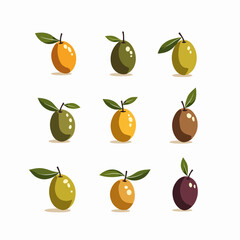 Vector illustration of a set of black and green olives.