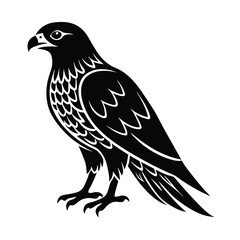 Obraz premium hawk vector illustration