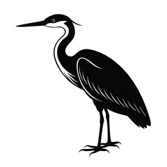 heron vector illustration