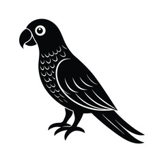 Obraz premium parrot vector illustration