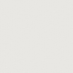 white paper texture