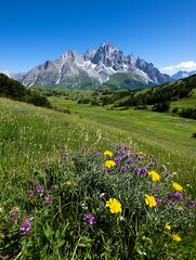 Alpine Meadow Mountain View