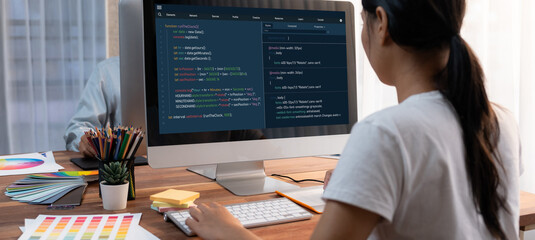 Software development programming on computer screen for brisk application and program coding