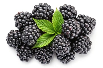A Closeup of Juicy Ripe Blackberries with Fresh Green Leaves