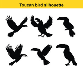 Obraz premium Toucan bird silhouette in flight and standing