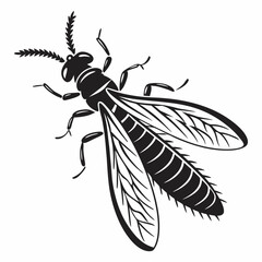 termite black silhouette icon vector