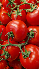 Branch of tomatoes for sale close-up. Farm produce. Agriculture. Vegetables. Fresh ripe tomatoes. Tomatoes stacked together for sale at a farmers market. Food market