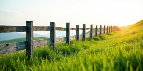 Obraz premium Rustic Wooden Fence Line Extending Across a Verdant Pasture at Golden Hour