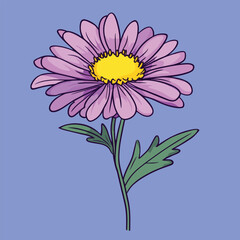 cartoon Aster flower no details solid background