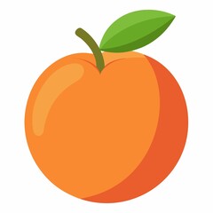 vector illustration of an orange