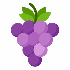 grapes vector illustration