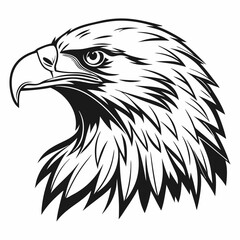 eagle head vector