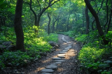 Fototapeta premium Sunlit stone path winds through lush green forest.