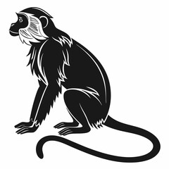 tamarin black silhouette icon vector