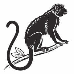 tamarin black silhouette icon vector