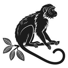 tamarin black silhouette icon vector