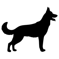 Silhouette of a German Shepherd: A sleek and stylish silhouette of a German Shepherd dog stands proudly against a pristine backdrop, its strong posture and iconic form a testament to its noble breed.
