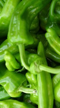Vertical: Frigitelli peppers, a beloved summer vegetable in Italy, fill the market with their vibrant green color, reflecting Italy's dedication to fresh and flavorful local produce.