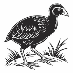 takahe black silhouette icon vector