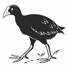 takahe black silhouette icon vector