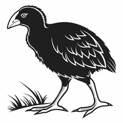 takahe black silhouette icon vector