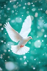 Fototapeta premium Graceful white doves in flight with wings wide open, captured in poetic compositions – ideal for peace-themed designs, book covers, or symbolic spiritual projects.