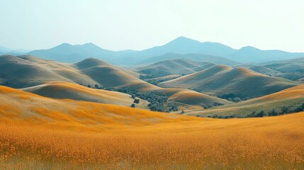 Fototapeta premium Golden wildflowers blanket rolling hills, mountains loom.