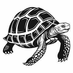 sulcata tortoise black silhouette icon vector