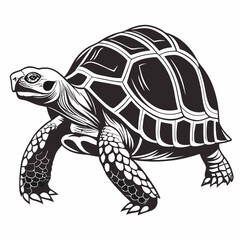 sulcata tortoise black silhouette icon vector