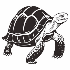 sulcata tortoise black silhouette icon vector