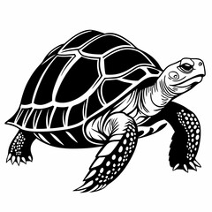 sulcata tortoise black silhouette icon vector
