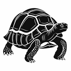 sulcata tortoise black silhouette icon vector