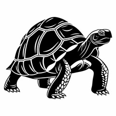 sulcata tortoise black silhouette icon vector