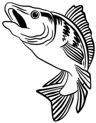 Fish Fishing Realistic Fish Black Line Art Drawing Illustration